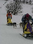 2003 schlittenhunde040.jpg